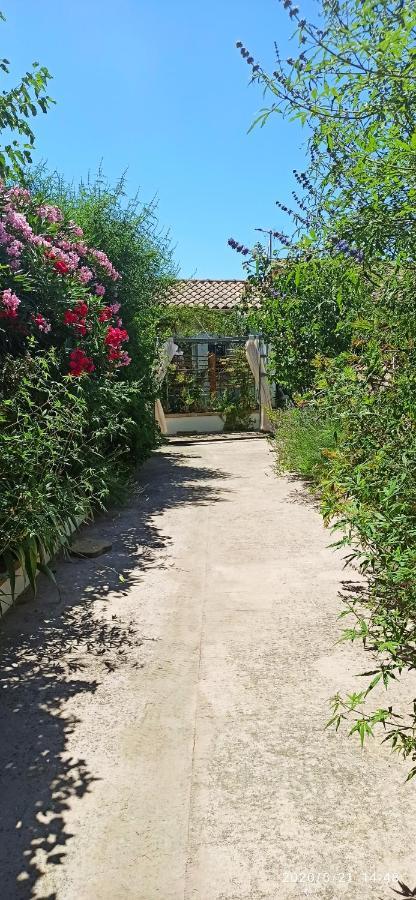 Secret Garden - Chez Gilles Et Tra - Maison D Hote -T2 Super Mignon, Neuf Et Independant , Dans Cadre Agreable Et Zen Valergues ภายนอก รูปภาพ